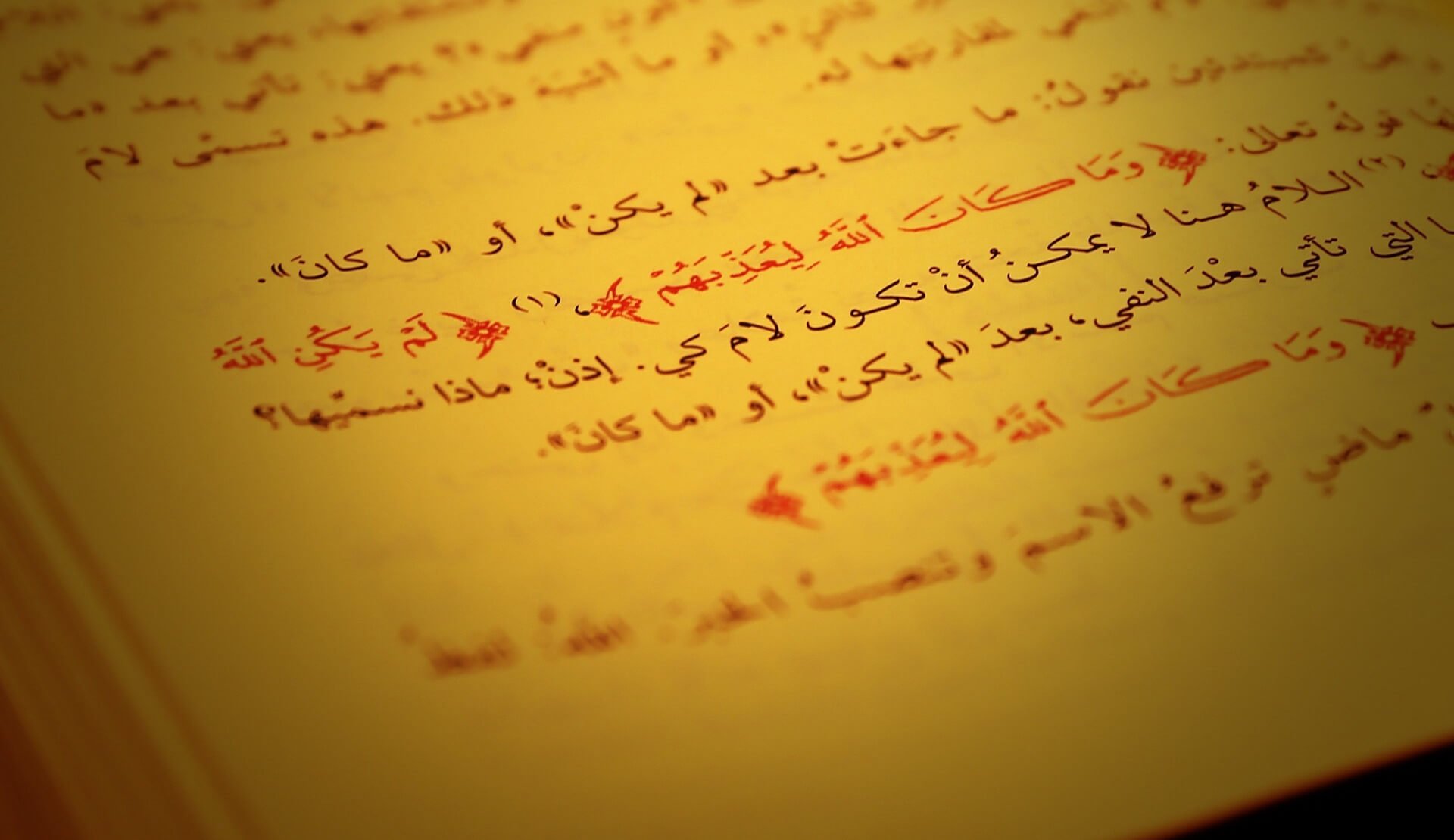 Online Arabic classes, a first contact with Arabic language from anywhere